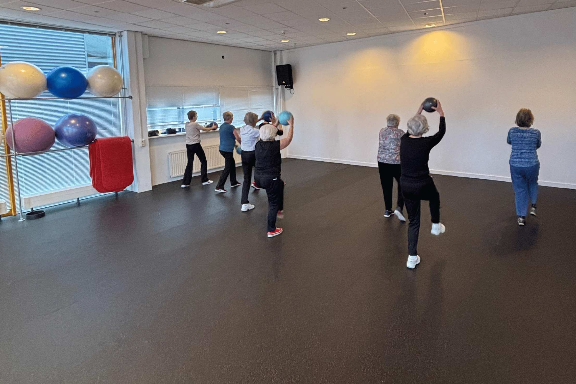 FysioFit Dames 65+
