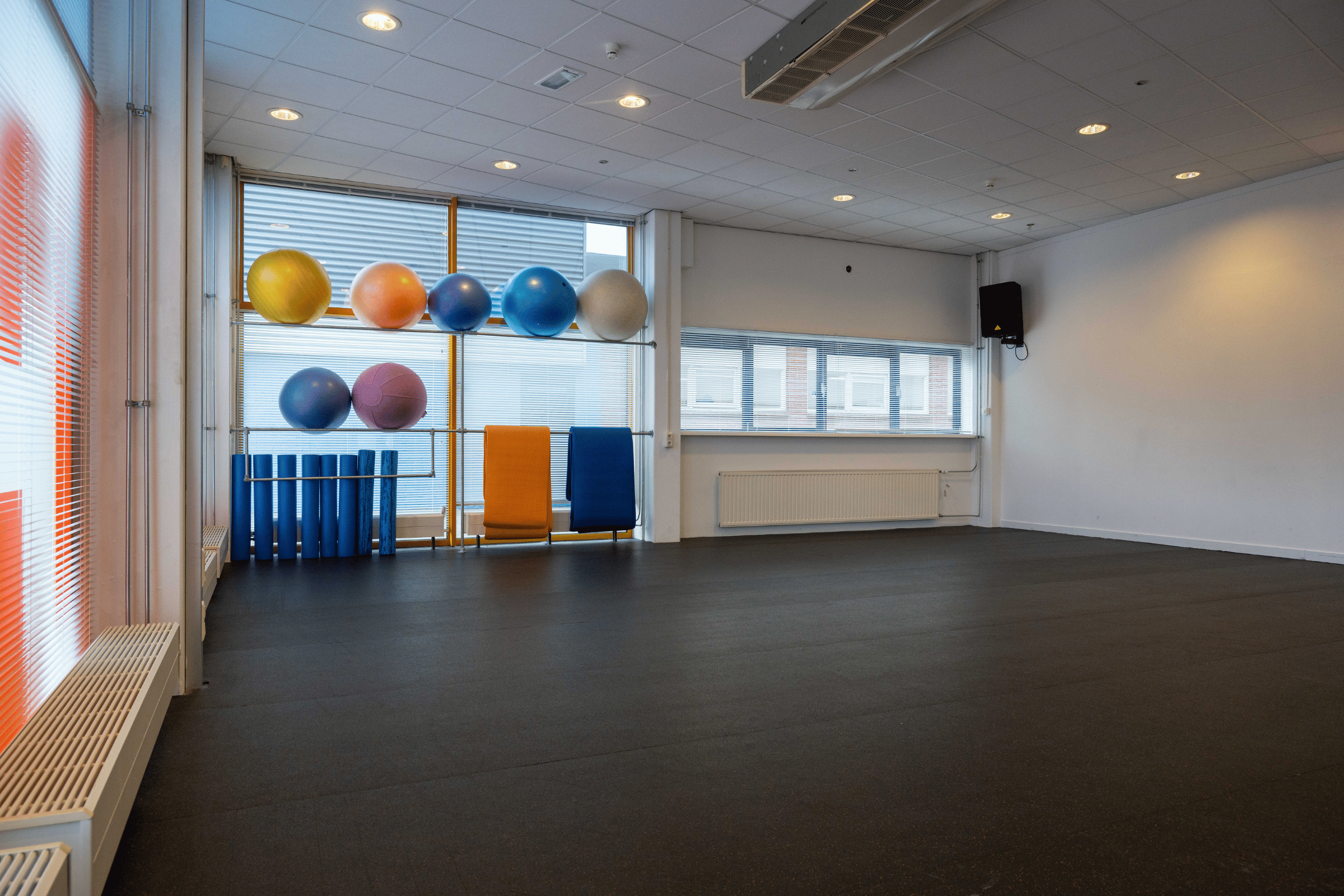 Dansante Fysiotherapie